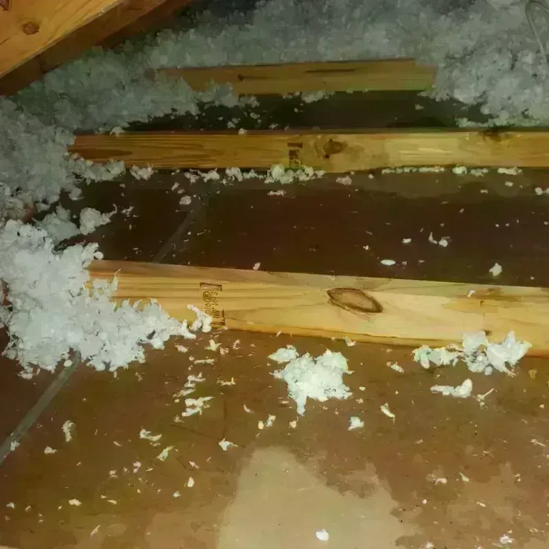 Attic Water Damage in Menlo Park, CA